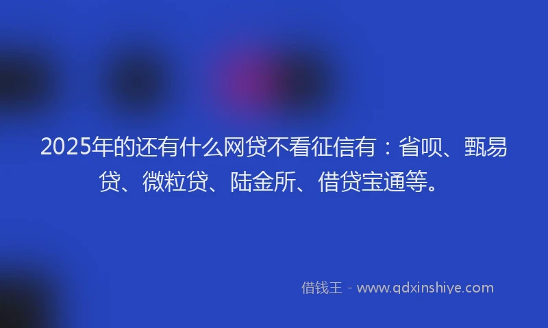 2025年的还有什么网贷不看征信有：省呗、甄易贷、微粒贷、陆金所、借贷宝通等。