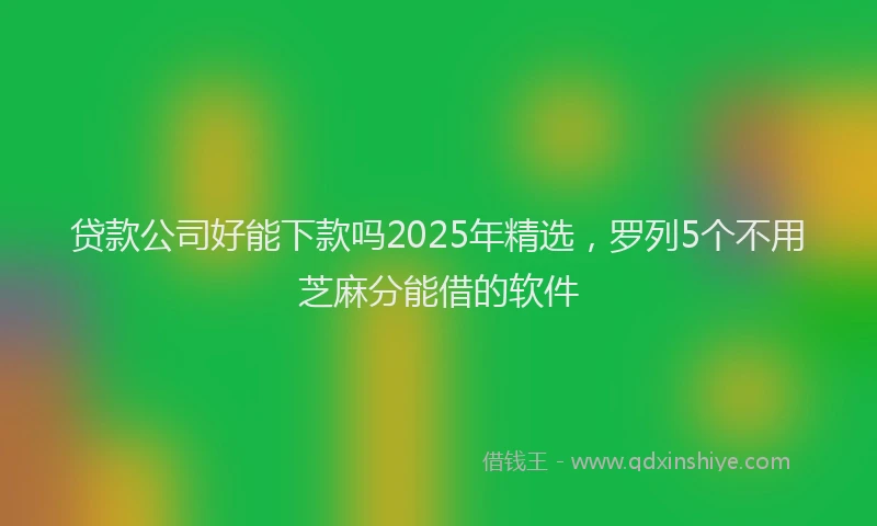 贷款公司好能下款吗2025年精选，罗列5个不用芝麻分能借的软件