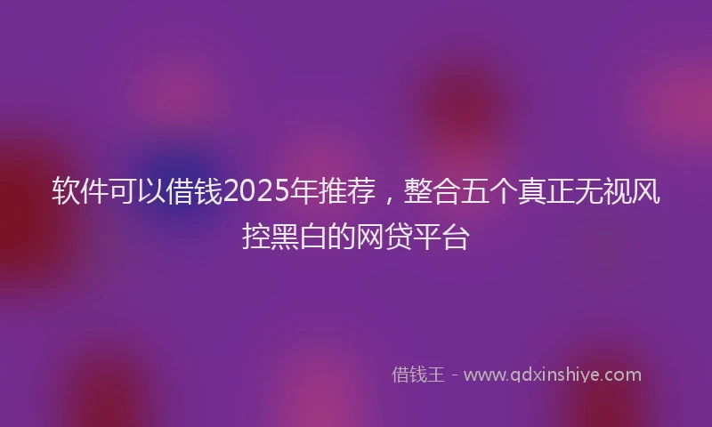 软件可以借钱2025年推荐，整合五个真正无视风控黑白的网贷平台