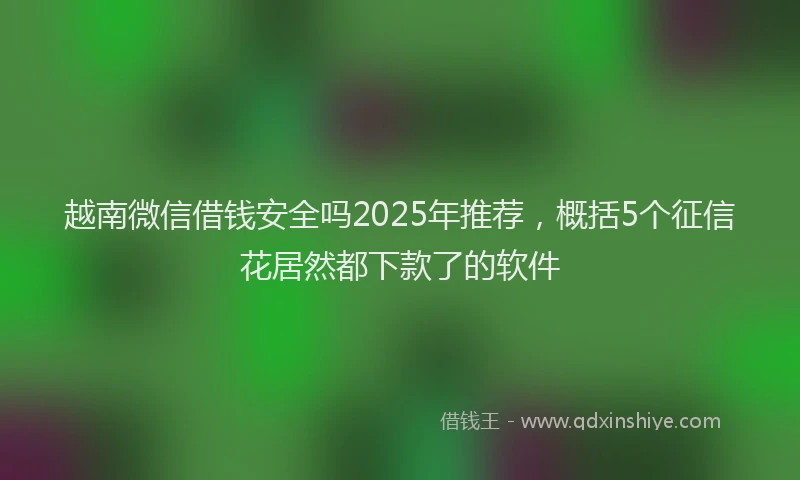 越南微信借钱安全吗2025年推荐，概括5个征信花居然都下款了的软件