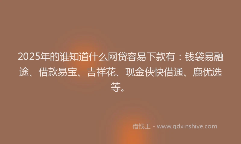 2025年的谁知道什么网贷容易下款有：钱袋易融途、借款易宝、吉祥花、现金侠快借通、鹿优选等。