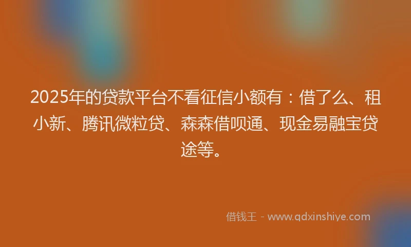 2025年的贷款平台不看征信小额有：借了么、租小新、腾讯微粒贷、森森借呗通、现金易融宝贷途等。