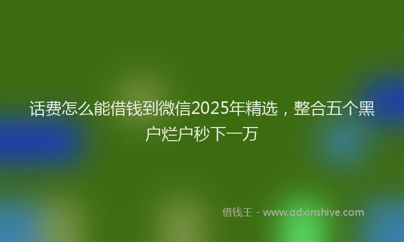 话费怎么能借钱到微信2025年精选，整合五个黑户烂户秒下一万