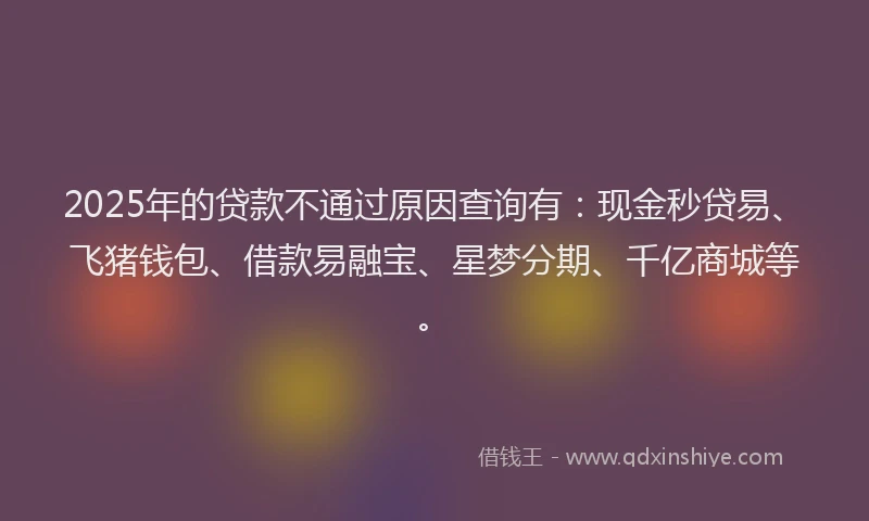 2025年的贷款不通过原因查询有：现金秒贷易、飞猪钱包、借款易融宝、星梦分期、千亿商城等。