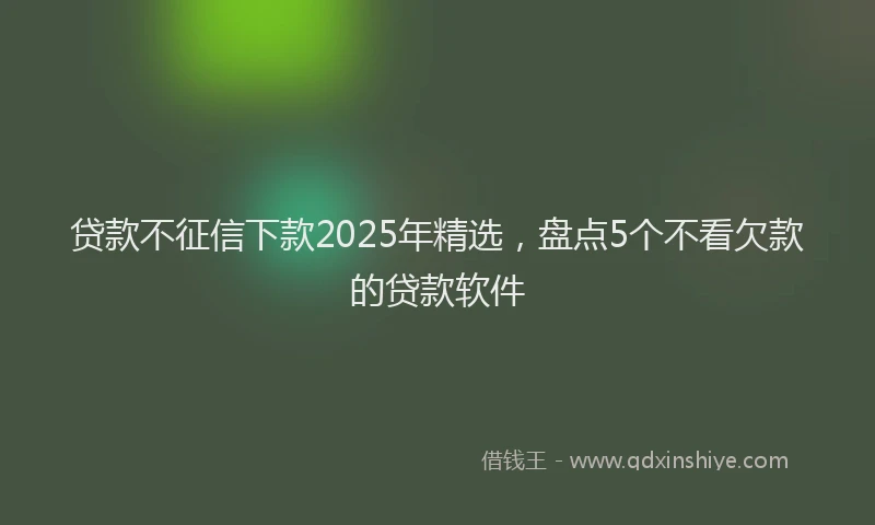 贷款不征信下款2025年精选，盘点5个不看欠款的贷款软件
