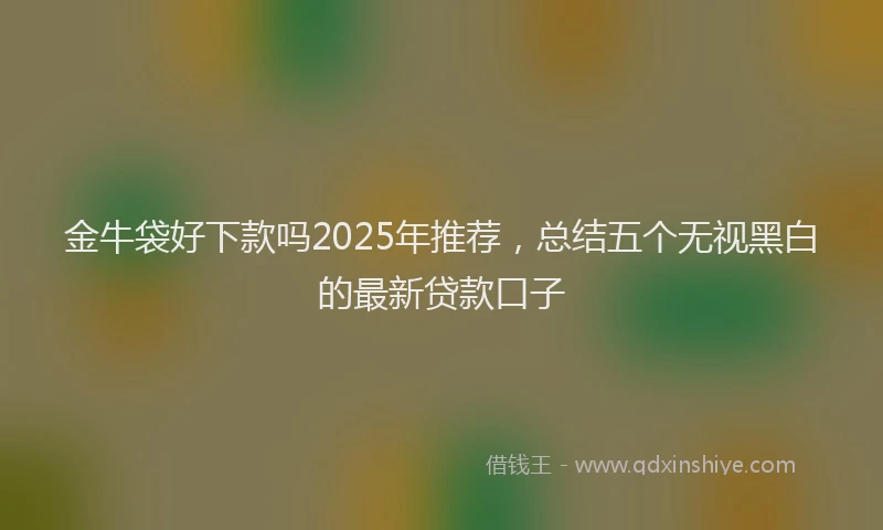 金牛袋好下款吗2025年推荐，总结五个无视黑白的最新贷款口子