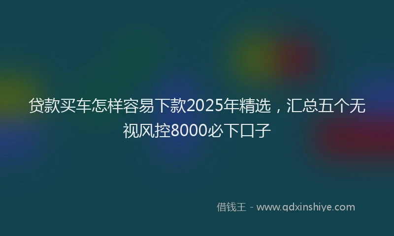 贷款买车怎样容易下款2025年精选，汇总五个无视风控8000必下口子