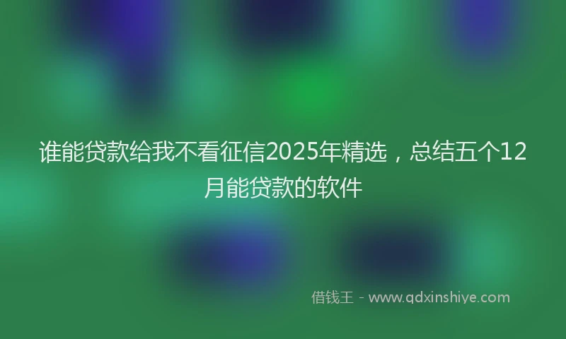 谁能贷款给我不看征信2025年精选，总结五个12月能贷款的软件