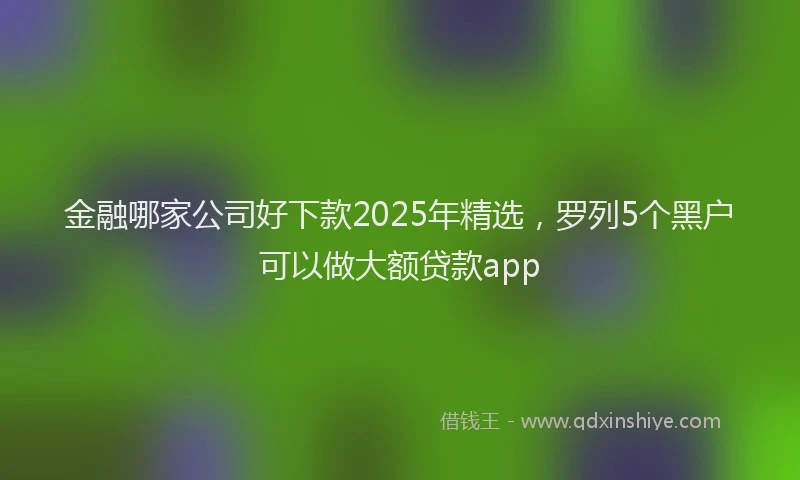 金融哪家公司好下款2025年精选，罗列5个黑户可以做大额贷款app