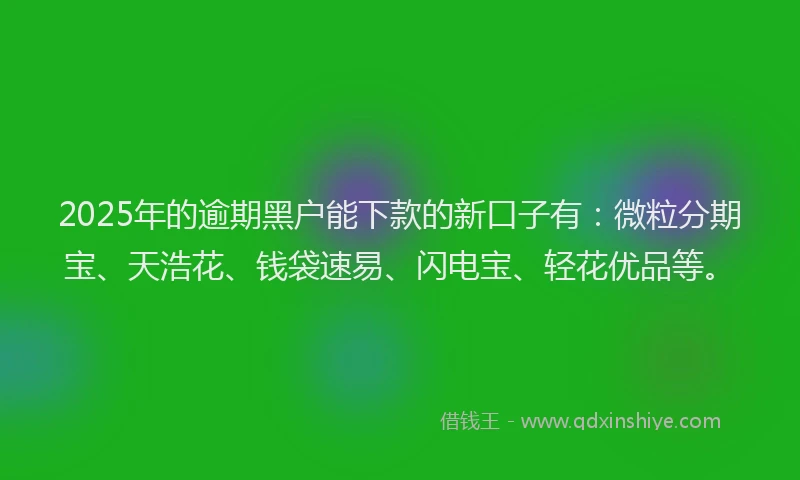 2025年的逾期黑户能下款的新口子有：微粒分期宝、天浩花、钱袋速易、闪电宝、轻花优品等。