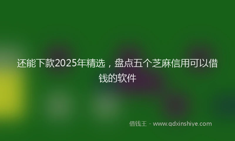 还能下款2025年精选，盘点五个芝麻信用可以借钱的软件