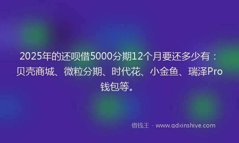 2025年的还呗借5000分期12个月要还多少有：贝壳商城、微粒分期、时代花、小金鱼、瑞泽Pro钱包等。