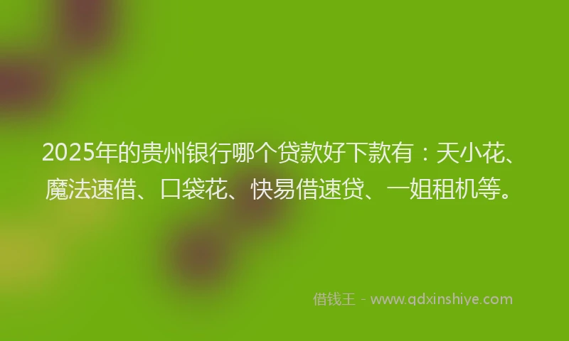 2025年的贵州银行哪个贷款好下款有：天小花、魔法速借、口袋花、快易借速贷、一姐租机等。