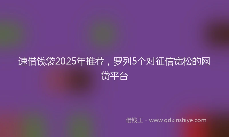 速借钱袋2025年推荐，罗列5个对征信宽松的网贷平台