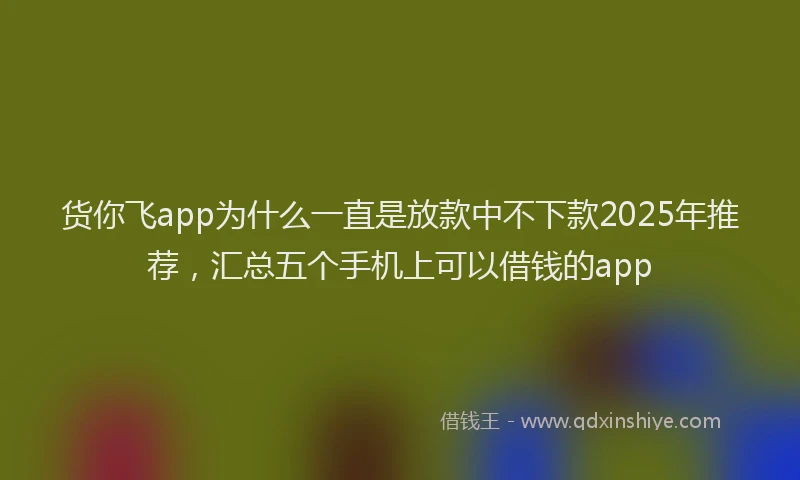 货你飞app为什么一直是放款中不下款2025年推荐，汇总五个手机上可以借钱的app