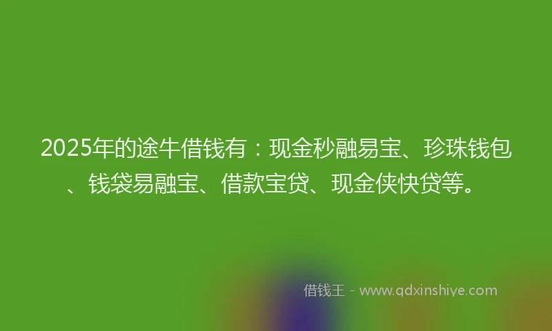 2025年的途牛借钱有：现金秒融易宝、珍珠钱包、钱袋易融宝、借款宝贷、现金侠快贷等。