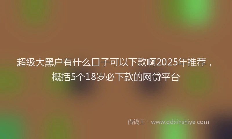 超级大黑户有什么口子可以下款啊2025年推荐，概括5个18岁必下款的网贷平台