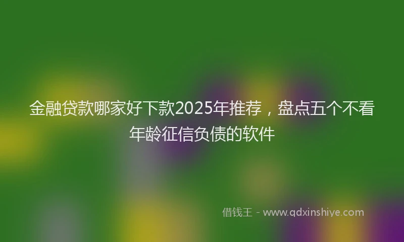 金融贷款哪家好下款2025年推荐，盘点五个不看年龄征信负债的软件