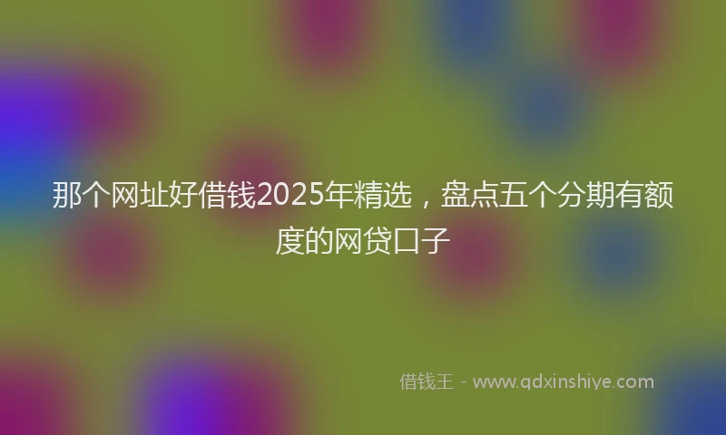 那个网址好借钱2025年精选，盘点五个分期有额度的网贷口子