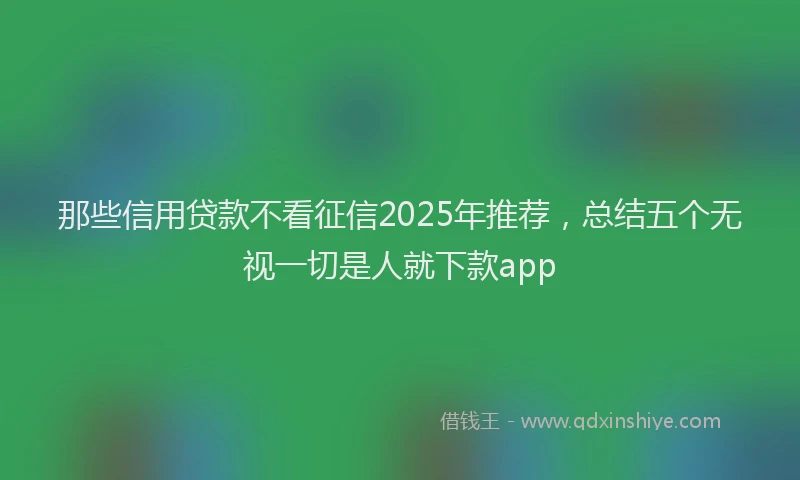 那些信用贷款不看征信2025年推荐，总结五个无视一切是人就下款app