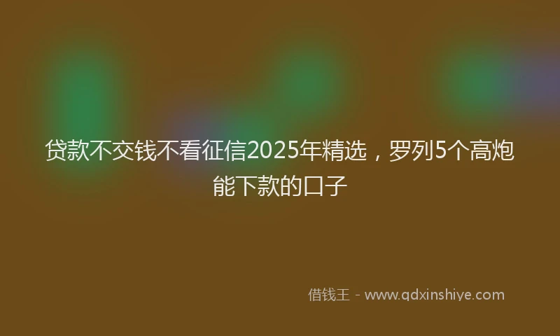 贷款不交钱不看征信2025年精选，罗列5个高炮能下款的口子