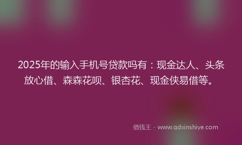 2025年的输入手机号贷款吗有：现金达人、头条放心借、森森花呗、银杏花、现金侠易借等。