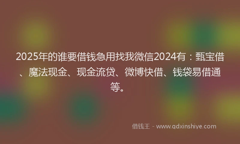 2025年的谁要借钱急用找我微信2024有：甄宝借、魔法现金、现金流贷、微博快借、钱袋易借通等。
