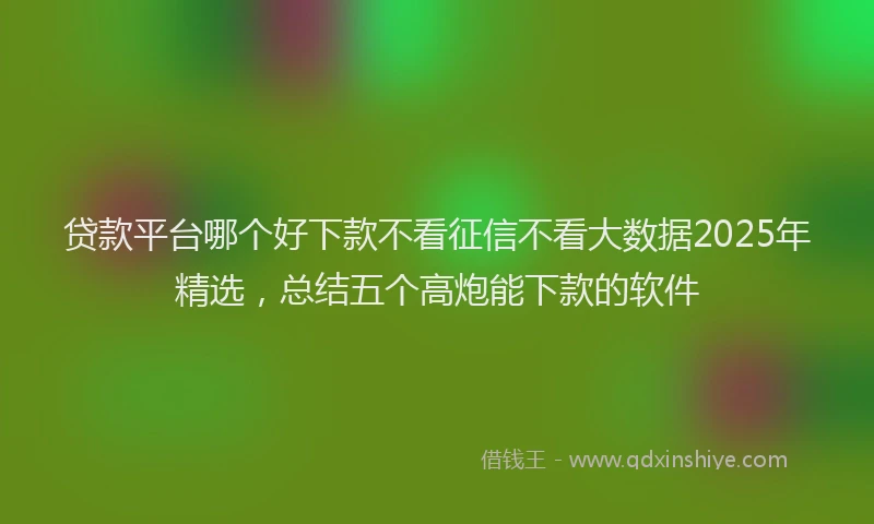贷款平台哪个好下款不看征信不看大数据2025年精选，总结五个高炮能下款的软件