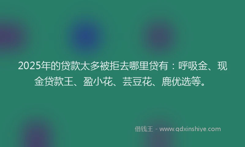 2025年的贷款太多被拒去哪里贷有：呼吸金、现金贷款王、盈小花、芸豆花、鹿优选等。