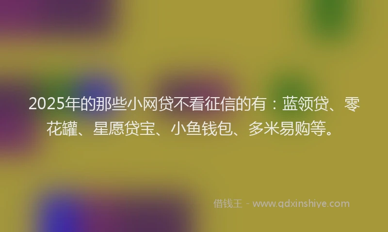 2025年的那些小网贷不看征信的有：蓝领贷、零花罐、星愿贷宝、小鱼钱包、多米易购等。