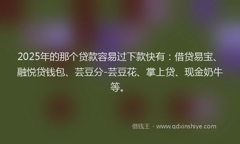 2025年的那个贷款容易过下款快有：借贷易宝、融悦贷钱包、芸豆分-芸豆花、掌上贷、现金奶牛等。
