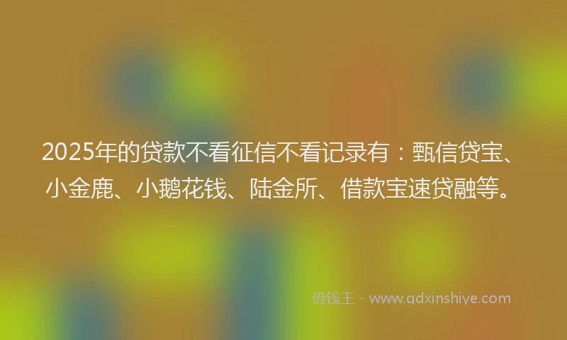 2025年的贷款不看征信不看记录有：甄信贷宝、小金鹿、小鹅花钱、陆金所、借款宝速贷融等。