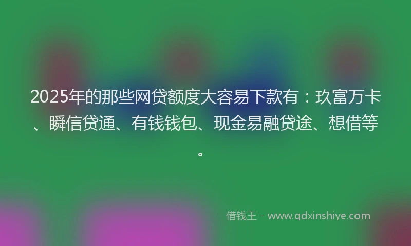 2025年的那些网贷额度大容易下款有：玖富万卡、瞬信贷通、有钱钱包、现金易融贷途、想借等。