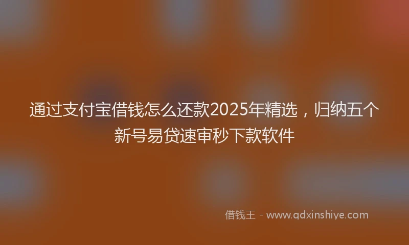 通过支付宝借钱怎么还款2025年精选，归纳五个新号易贷速审秒下款软件