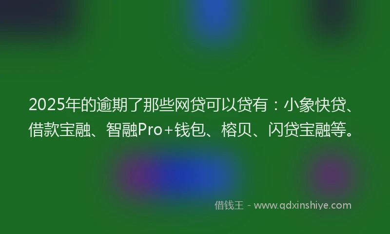 2025年的逾期了那些网贷可以贷有：小象快贷、借款宝融、智融Pro+钱包、榕贝、闪贷宝融等。