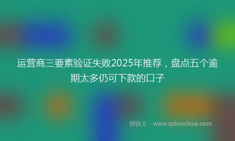 运营商三要素验证失败2025年推荐，盘点五个逾期太多仍可下款的口子