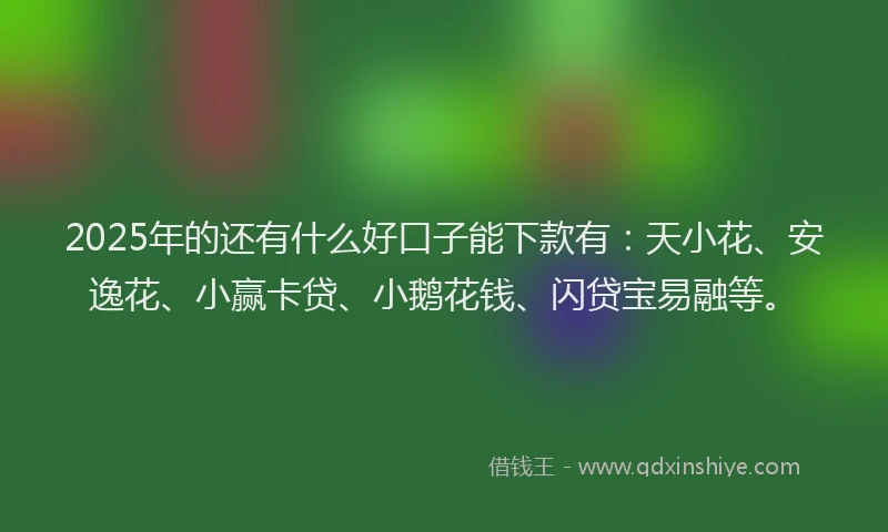2025年的还有什么好口子能下款有：天小花、安逸花、小赢卡贷、小鹅花钱、闪贷宝易融等。