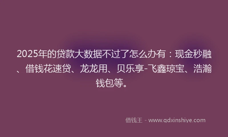 2025年的贷款大数据不过了怎么办有：现金秒融、借钱花速贷、龙龙用、贝乐享-飞鑫琼宝、浩瀚钱包等。