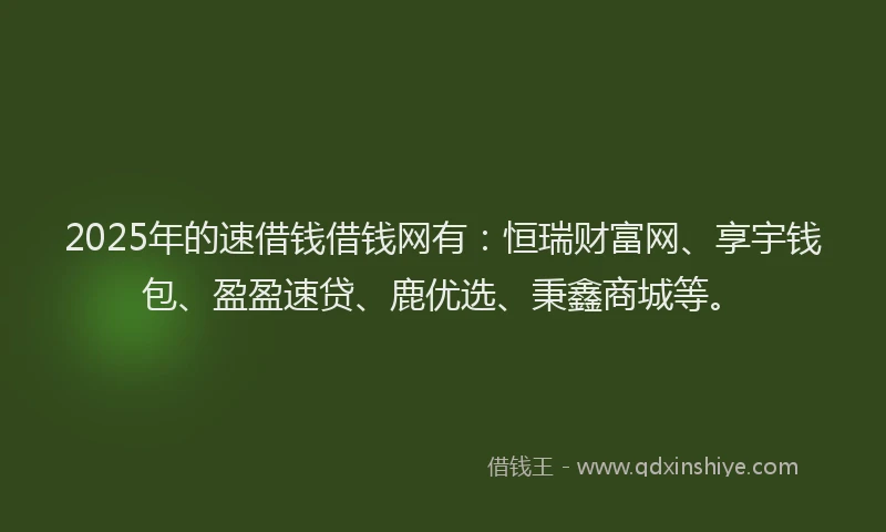 2025年的速借钱借钱网有：恒瑞财富网、享宇钱包、盈盈速贷、鹿优选、秉鑫商城等。