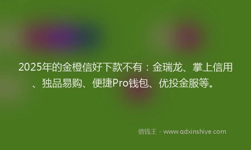 2025年的金橙信好下款不有：金瑞龙、掌上信用、独品易购、便捷Pro钱包、优投金服等。