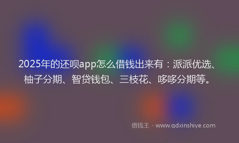 2025年的还呗app怎么借钱出来有：派派优选、柚子分期、智贷钱包、三枝花、哆哆分期等。