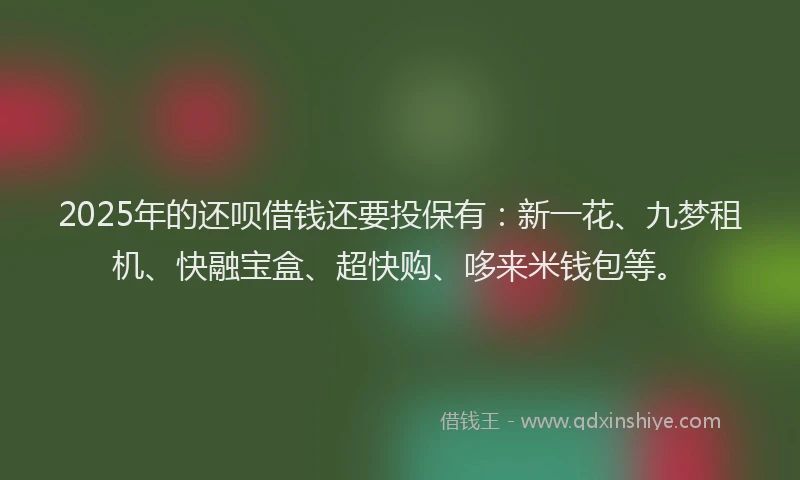 2025年的还呗借钱还要投保有：新一花、九梦租机、快融宝盒、超快购、哆来米钱包等。