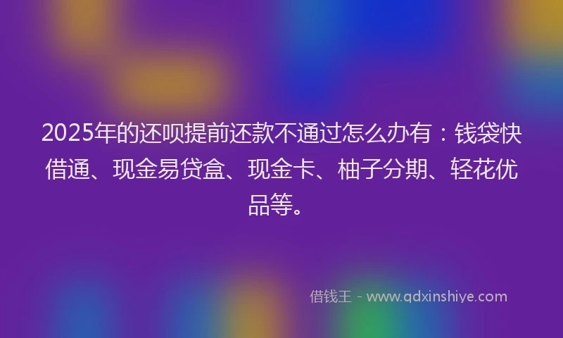 2025年的还呗提前还款不通过怎么办有：钱袋快借通、现金易贷盒、现金卡、柚子分期、轻花优品等。