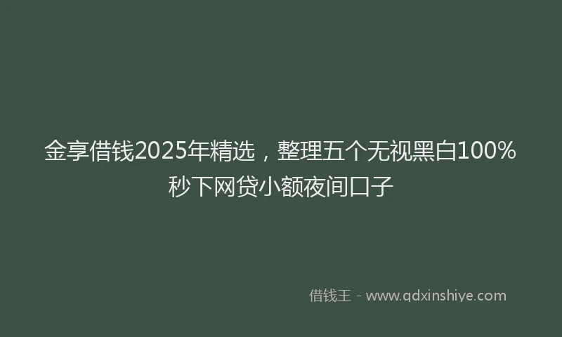 金享借钱2025年精选，整理五个无视黑白100%秒下网贷小额夜间口子