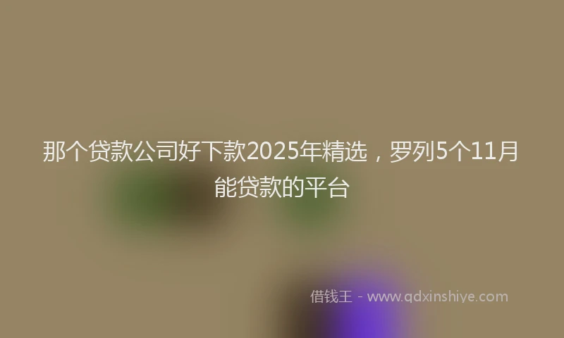 那个贷款公司好下款2025年精选，罗列5个11月能贷款的平台