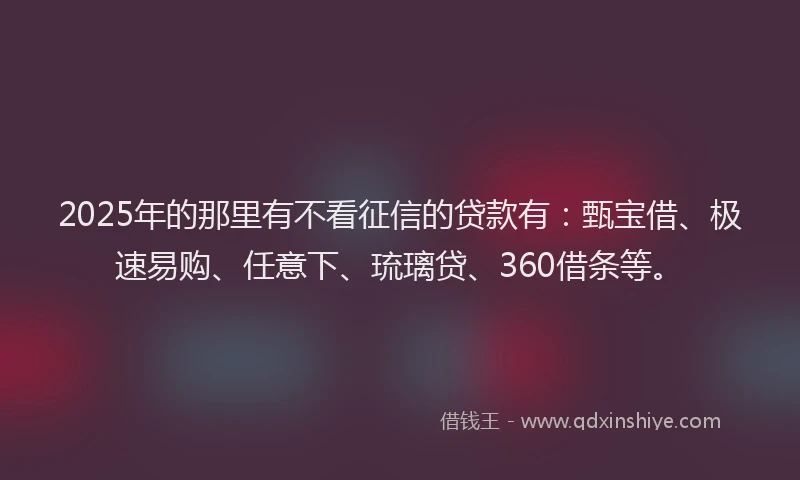 2025年的那里有不看征信的贷款有：甄宝借、极速易购、任意下、琉璃贷、360借条等。