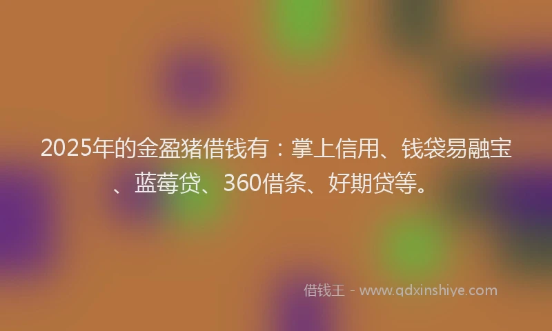 2025年的金盈猪借钱有：掌上信用、钱袋易融宝、蓝莓贷、360借条、好期贷等。