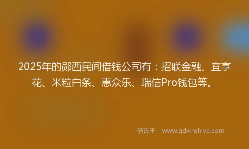 2025年的郧西民间借钱公司有：招联金融、宜享花、米粒白条、惠众乐、瑞信Pro钱包等。