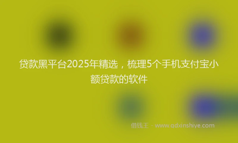贷款黑平台2025年精选，梳理5个手机支付宝小额贷款的软件