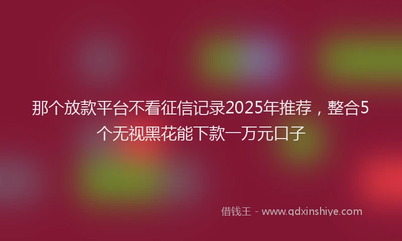 那个放款平台不看征信记录2025年推荐，整合5个无视黑花能下款一万元口子
